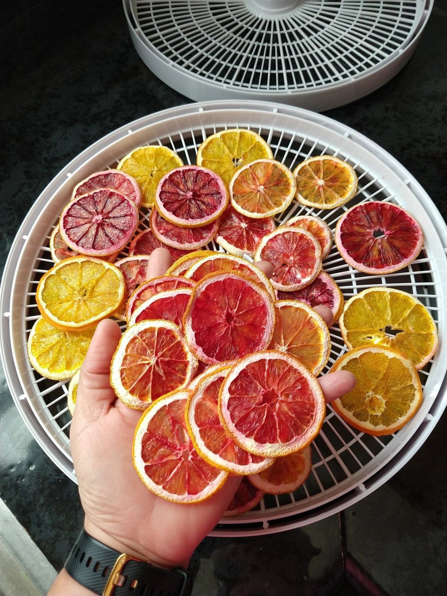 Blood Orange Margarita Goat's Milk Soap